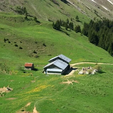 Comme Au Jardin * Arenthon