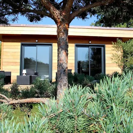 Comme Au Jardin *